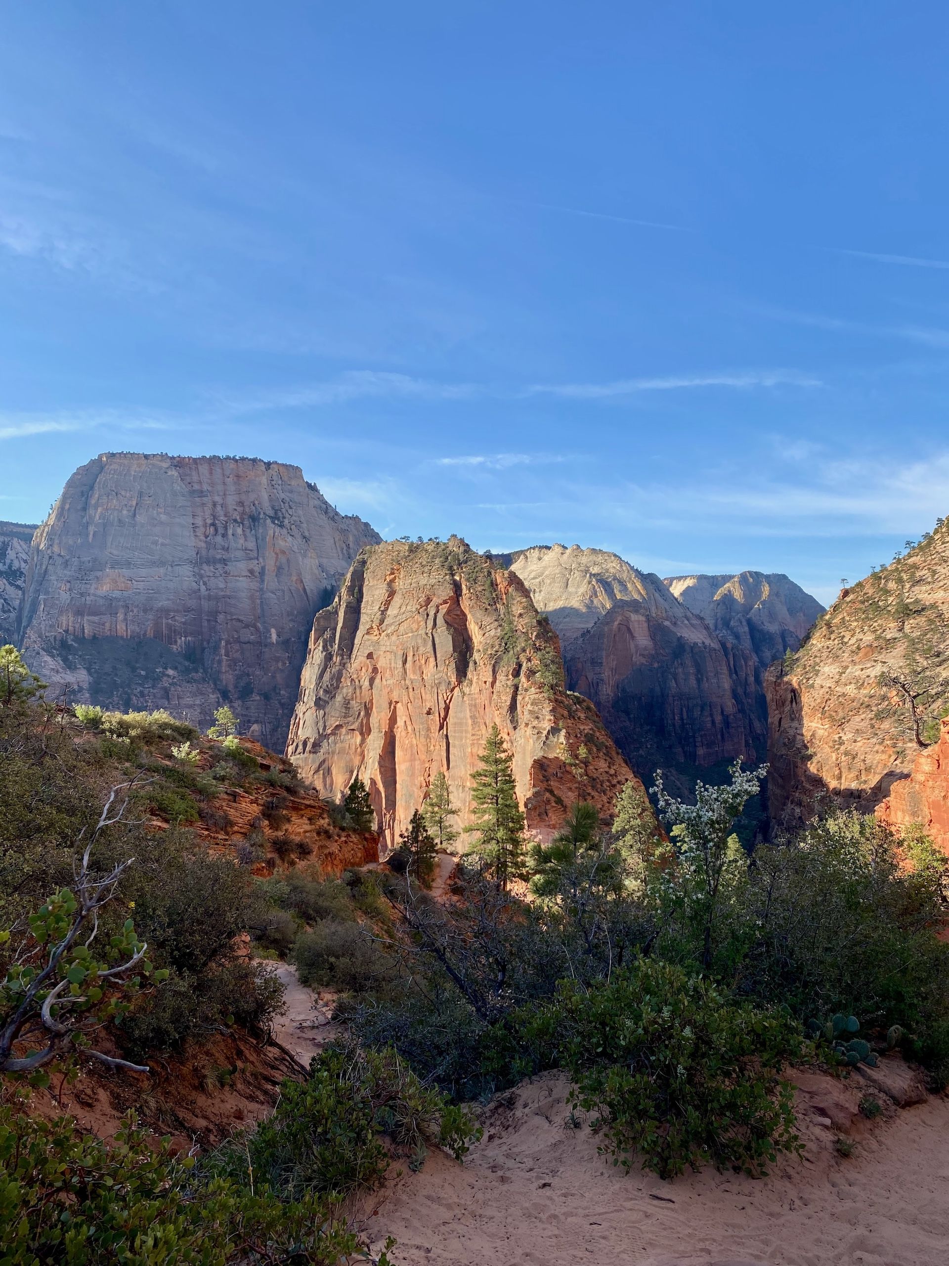 Angels landing at dawn