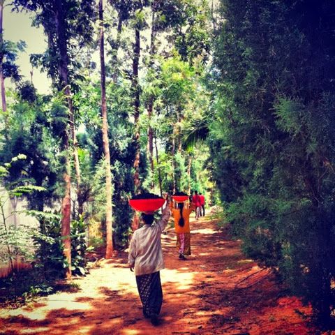 The Farm
